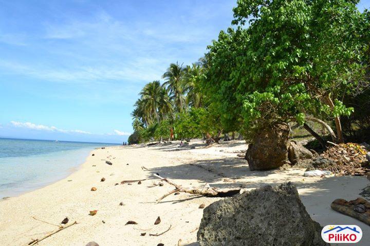 Residential Lot for sale in Other Cities - image 4