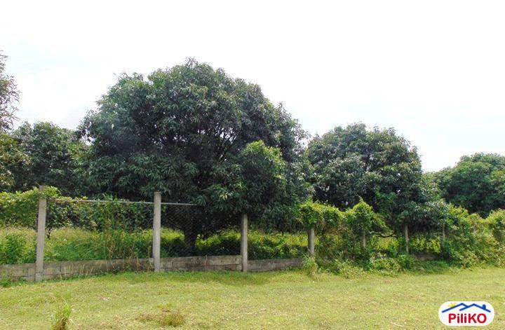 Picture of Residential Lot for sale in Other Cities in South Cotabato