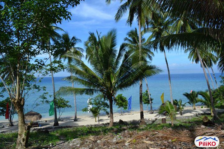 Picture of Residential Lot for sale in Other Cities in South Cotabato
