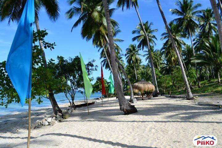 Residential Lot for sale in Other Cities - image 6