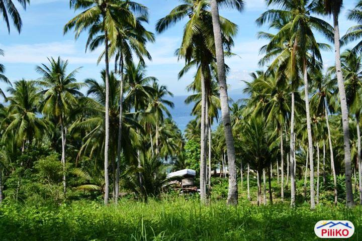 Residential Lot for sale in Other Cities in South Cotabato - image