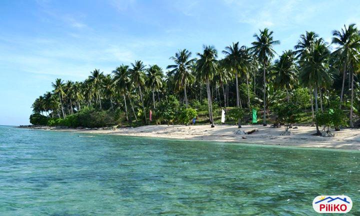 Residential Lot for sale in Other Cities in Philippines - image