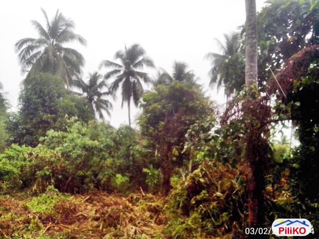 Other lots for sale in Nabua in Philippines
