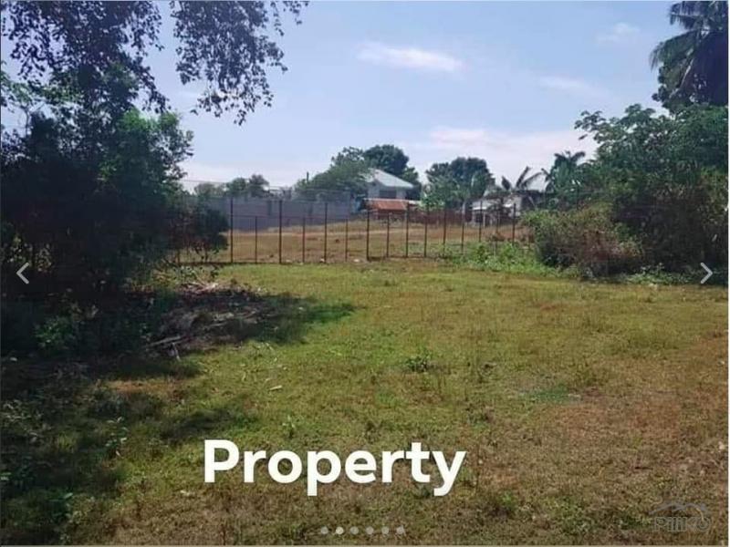 Residential Lot for sale in San Fernando - image 2