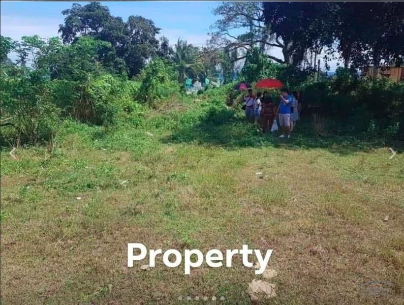 Residential Lot for sale in San Fernando in Philippines