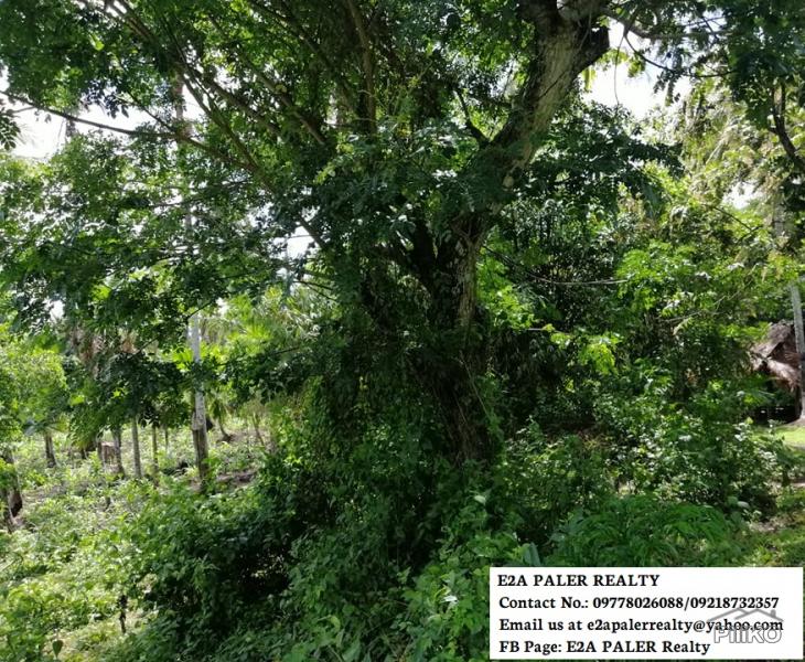 Land and Farm for sale in Oas