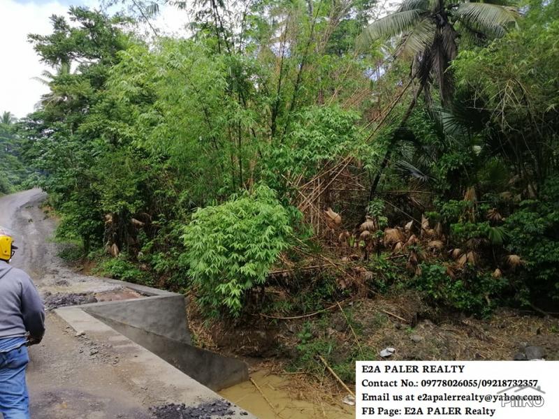 Land and Farm for sale in Oas in Albay