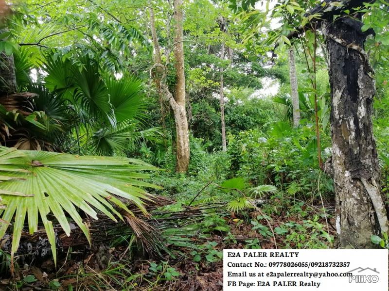 Land and Farm for sale in Oas in Philippines