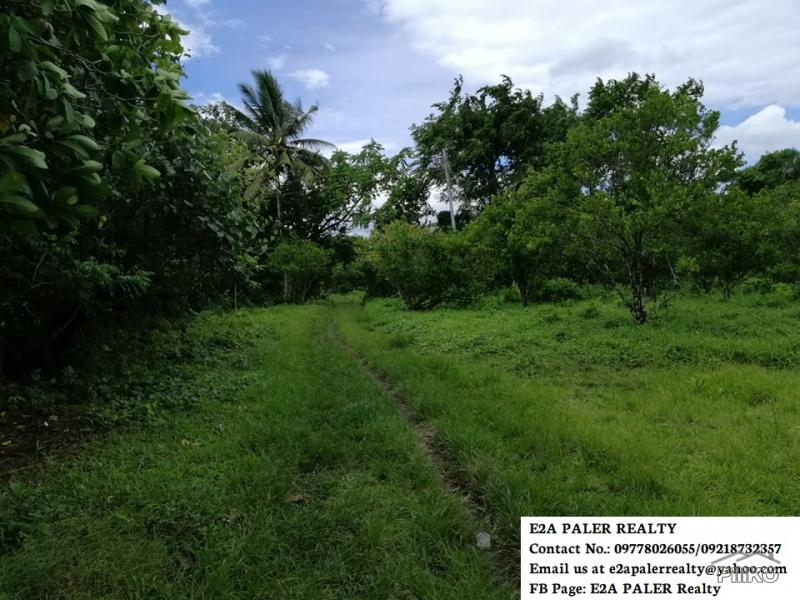 Agricultural Lot for sale in Goa