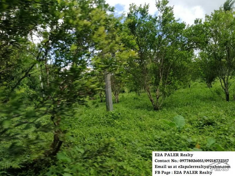 Agricultural Lot for sale in Goa in Camarines Sur