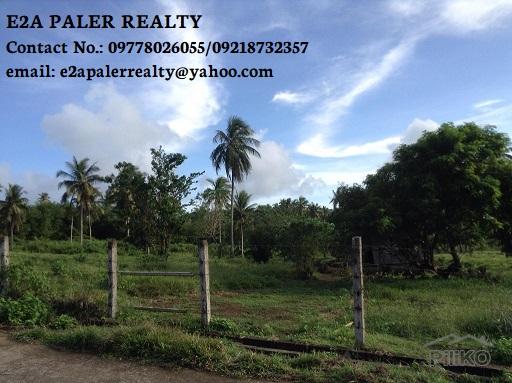 Other lots for sale in Legazpi - image 2