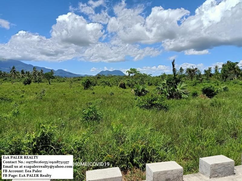 Land and Farm for sale in Juban