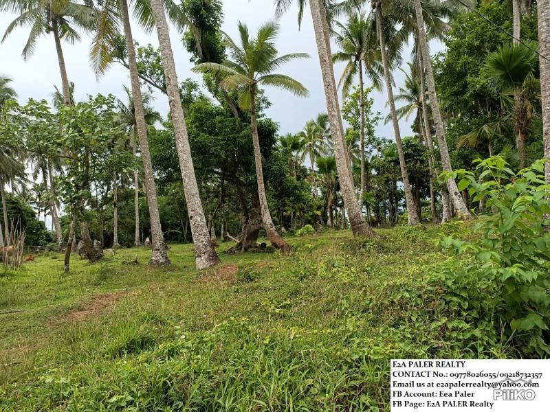 Other lots for sale in Daraga - image 2