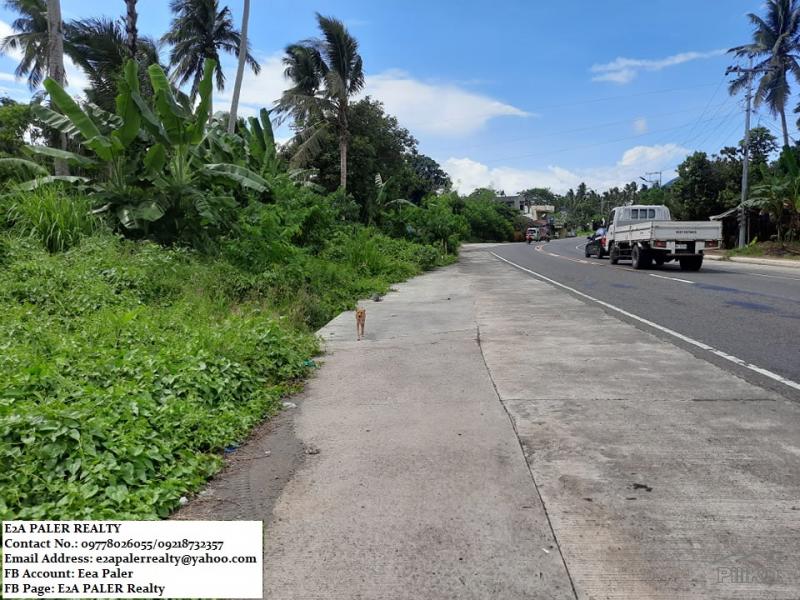 Pictures of Other lots for sale in Daraga
