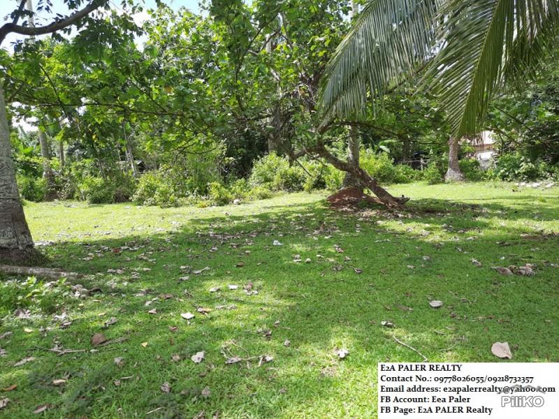 Other lots for sale in Daraga