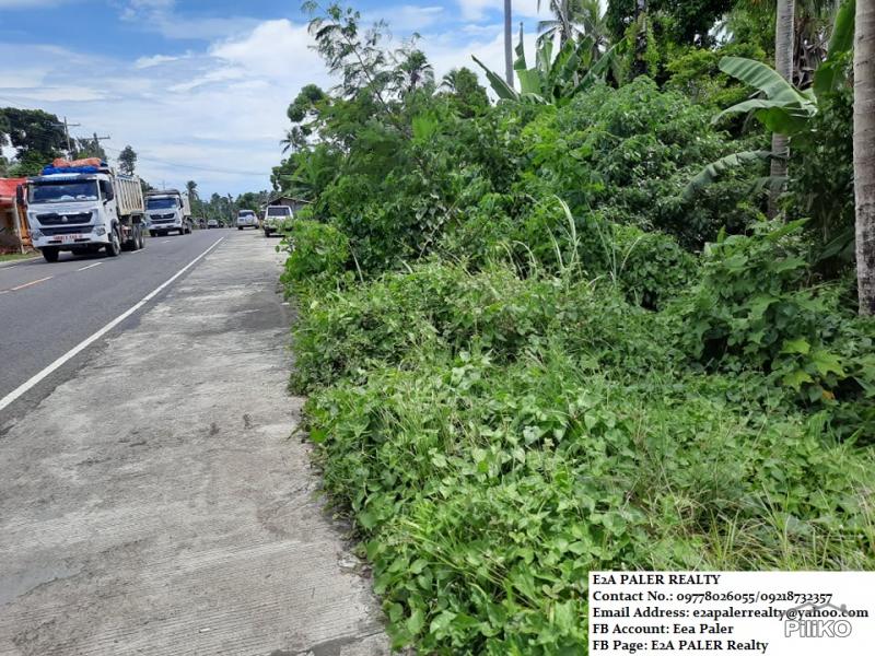 Other lots for sale in Daraga - image 3