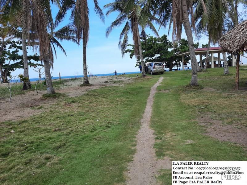 Other lots for sale in Oas in Albay