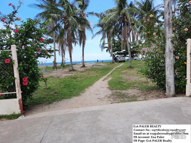 Other lots for sale in Oas - image 4