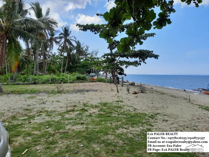 Picture of Other lots for sale in Oas in Albay