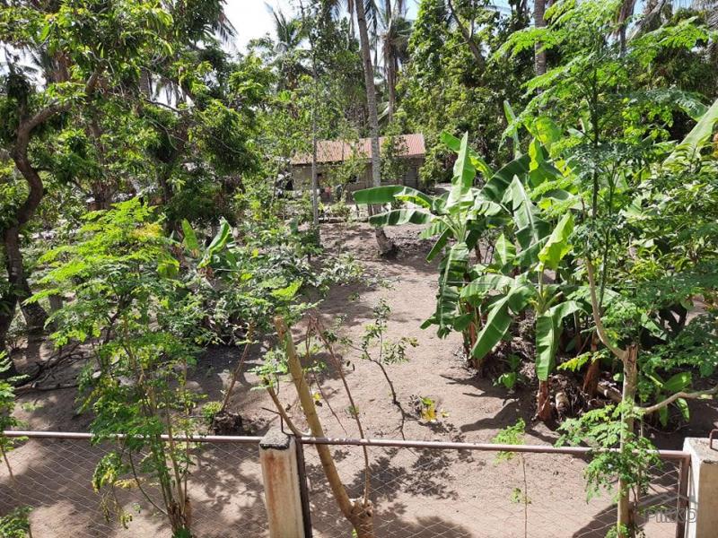 Other lots for sale in Oas - image 6