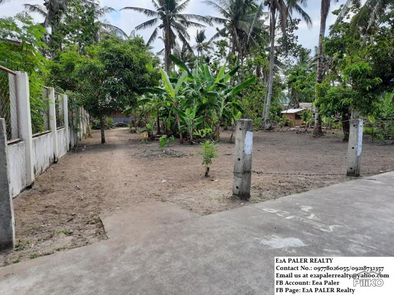 Other lots for sale in Oas - image 7