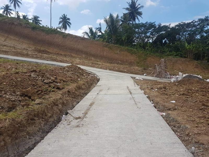 Residential Lot for sale in Ligao - image 2