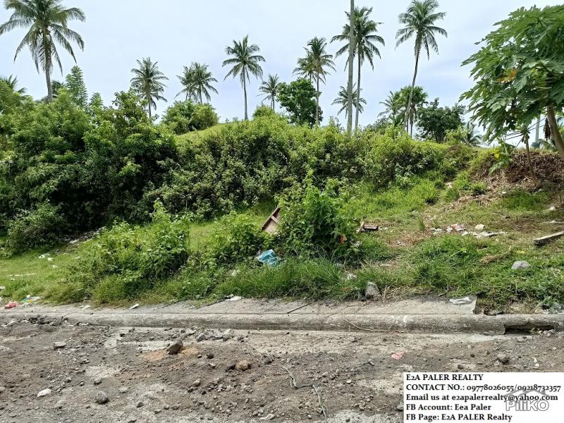 Picture of Agricultural Lot for sale in Legazpi