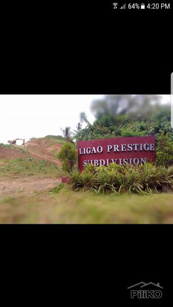 Picture of Residential Lot for sale in Ligao