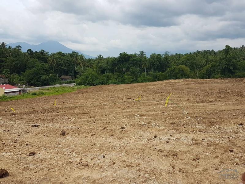 Residential Lot for sale in Ligao - image 2
