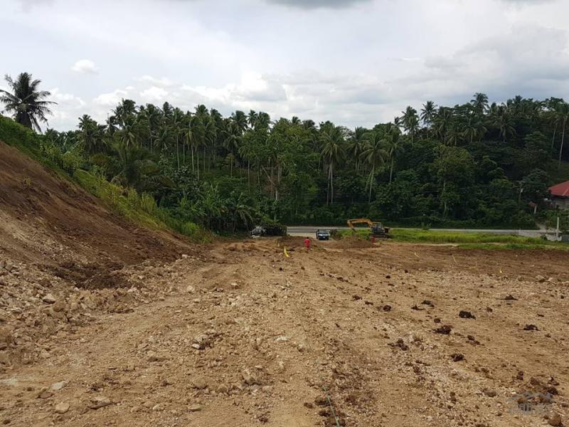 Residential Lot for sale in Ligao - image 3
