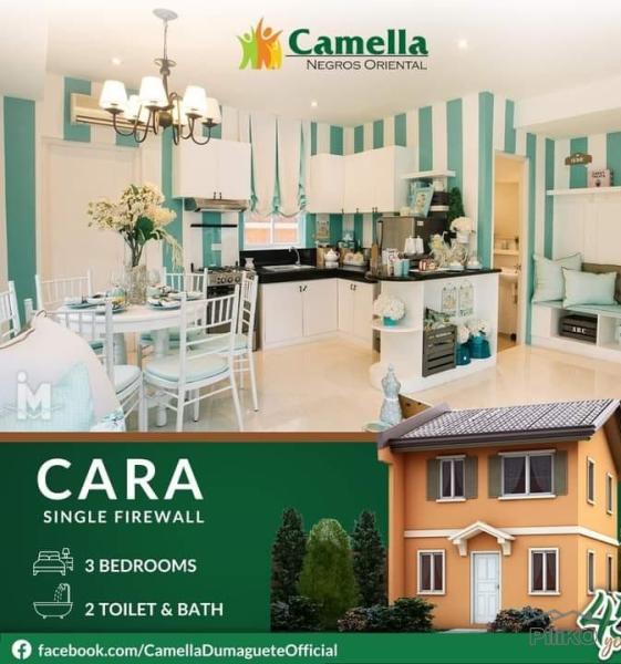 3 bedroom House and Lot for sale in Dumaguete - image 3