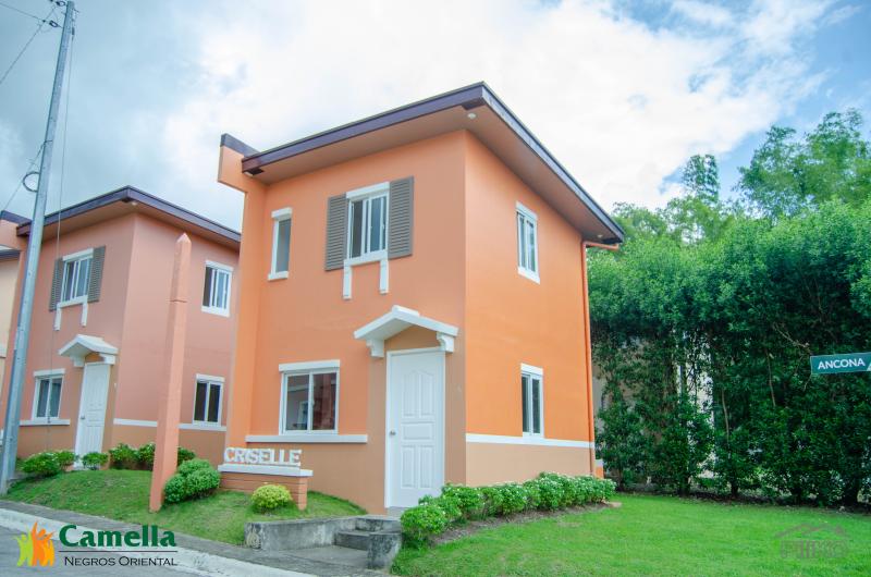 2 bedroom House and Lot for sale in Dumaguete - image 3