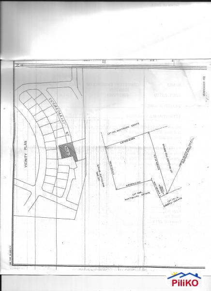 Picture of Residential Lot for sale in Paranaque