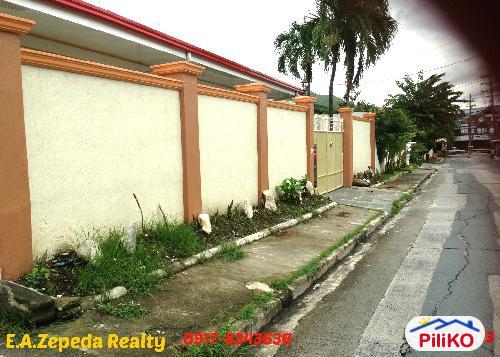 4 bedroom House and Lot for sale in Paranaque