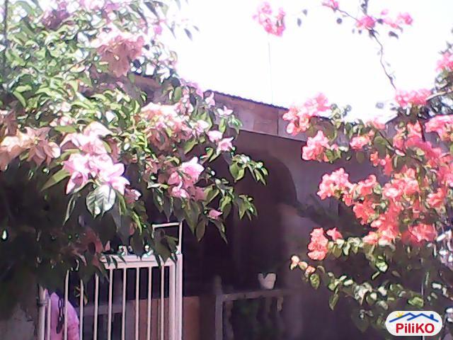 3 bedroom House and Lot for sale in Cebu City - image 4
