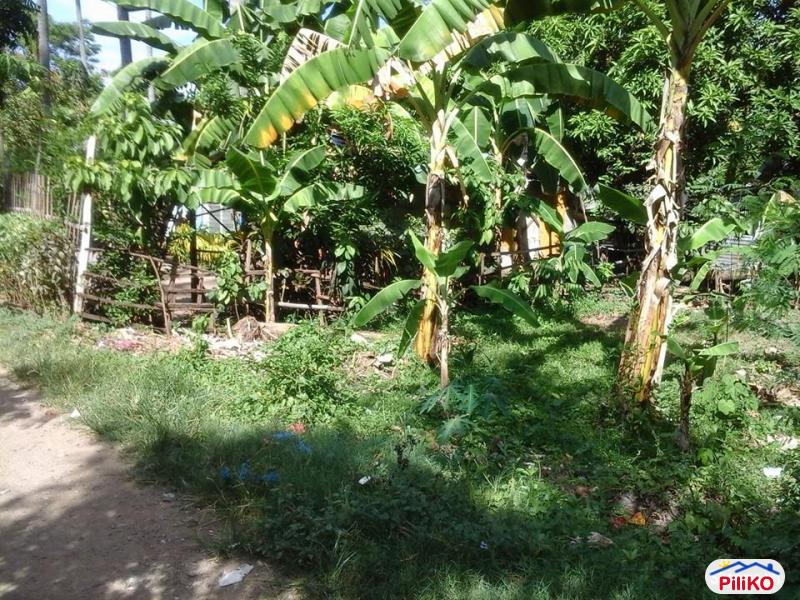 Residential Lot for sale in Minglanilla