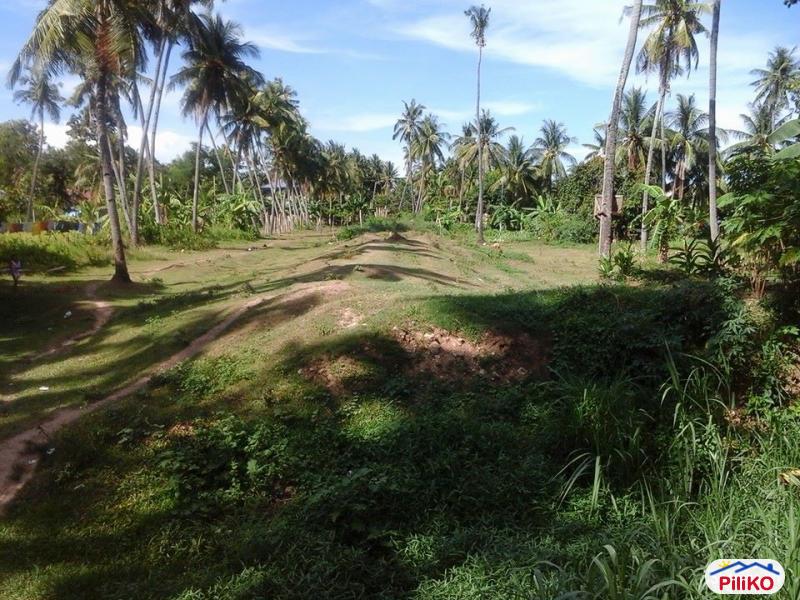 Residential Lot for sale in Minglanilla in Cebu