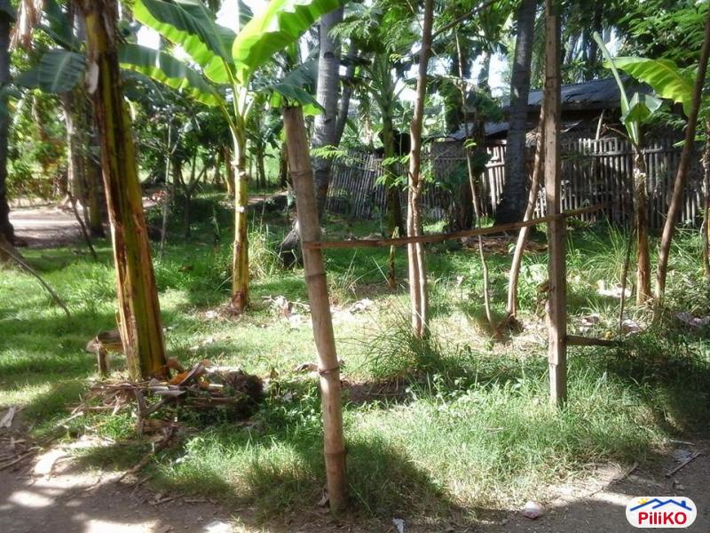 Residential Lot for sale in Minglanilla in Philippines