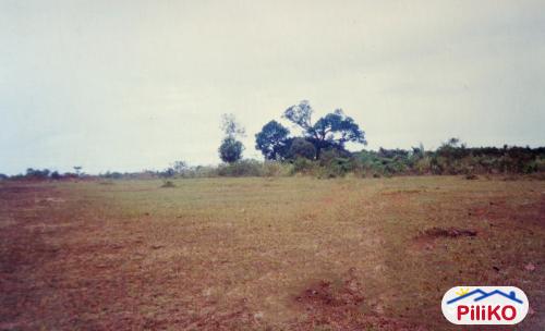 Picture of Agricultural Lot for sale in Caloocan