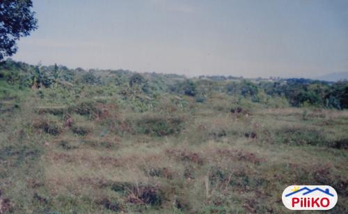 Agricultural Lot for sale in Caloocan - image 5