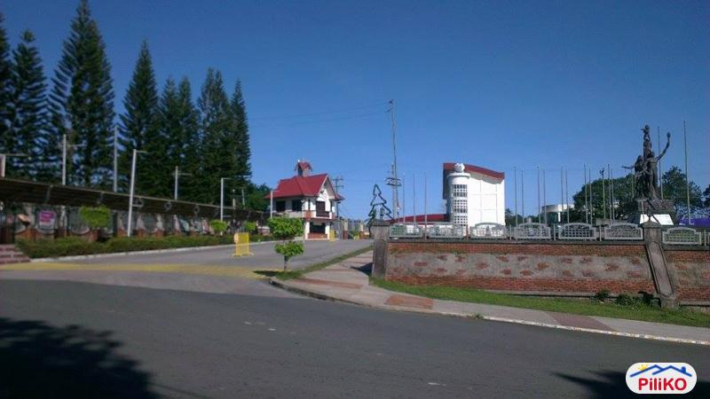 Other lots for sale in Indang - image 11
