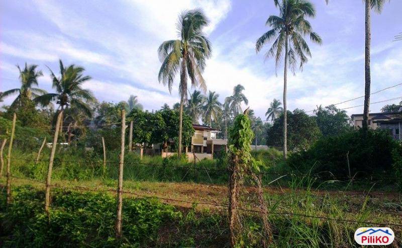 Other lots for sale in Indang in Cavite