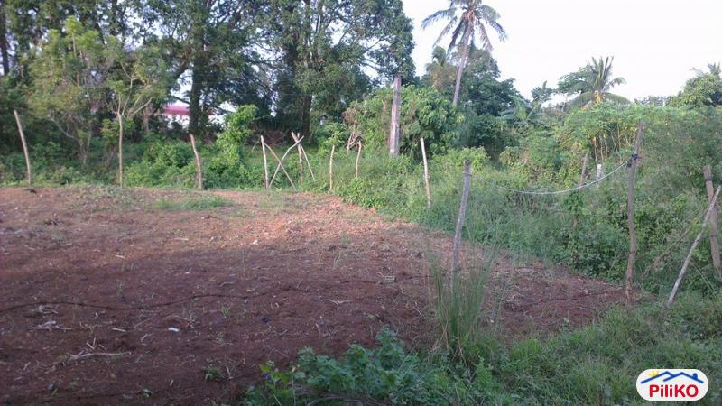 Picture of Other lots for sale in Indang in Cavite