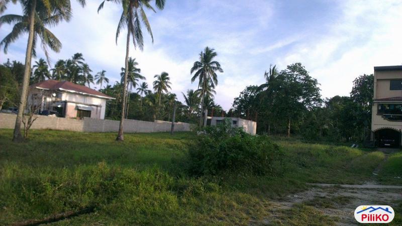 Picture of Other lots for sale in Indang in Philippines