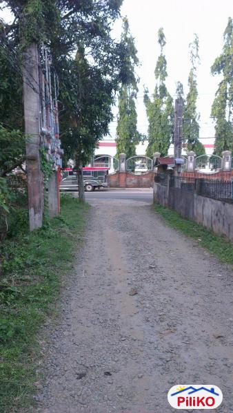 Other lots for sale in Indang in Cavite - image