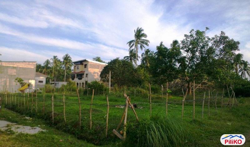Other lots for sale in Indang in Philippines - image