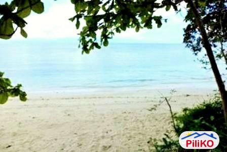 Other lots for sale in San Francisco