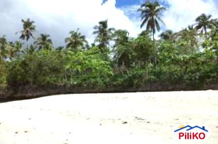 Other lots for sale in San Francisco in Cebu