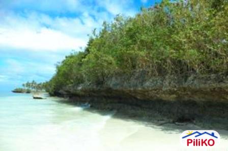 Other lots for sale in San Francisco in Philippines