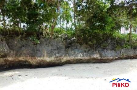 Picture of Other lots for sale in San Francisco in Cebu